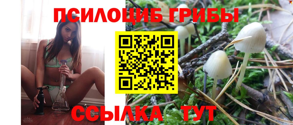 Галлюциногенные грибы прущие грибы  Вход с VPN  Туапсе  Галлюциногенные грибы Cubensis 