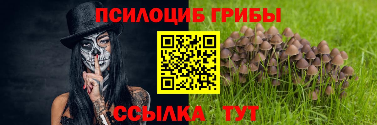 Псилоцибиновые грибы GOLDEN TEACHER Туапсе